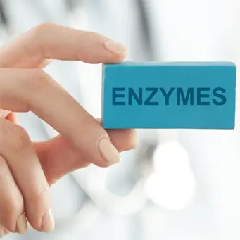 Enzymy