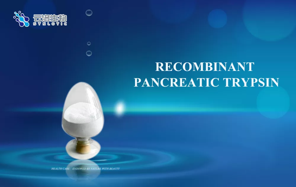 Kolik toho víte o roli enzymů pro lidské zdraví?