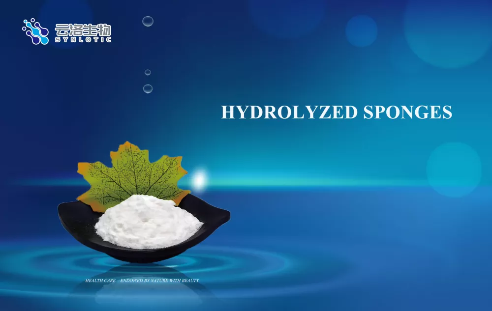 Hydrolyzované houby