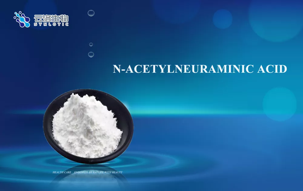Kyselina n-acetylnuraminová